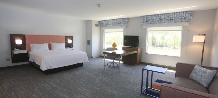 希尔顿欢朋酒店-奥韦戈(Hampton Inn Owego)图片