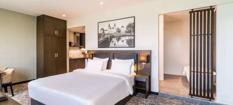 阿姆斯特丹南部丽笙酒店及套房(Radisson Hotel & Suites Amsterdam South)图片