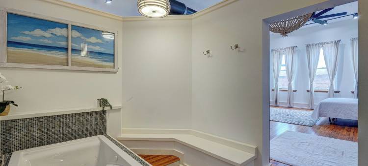 豪华220(Luxe 220)图片