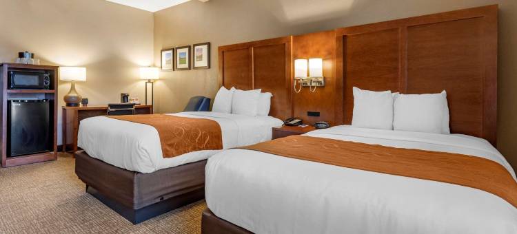 伯利恒舒适套房酒店-近利哈伊大学和LVI机场(Comfort Suites Bethlehem Near Lehigh University and LVI Airport)图片