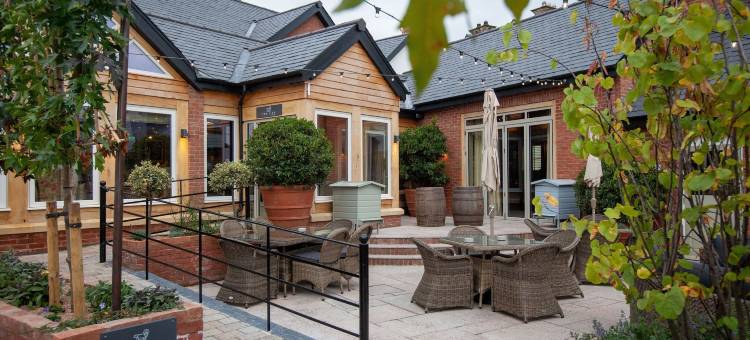 马尔帕斯的狮子(The Lion at Malpas)图片