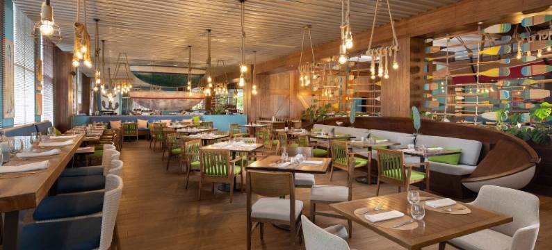 梦幻卡普卡纳度假村及水疗中心 - 全包式(Dreams Cap Cana)图片