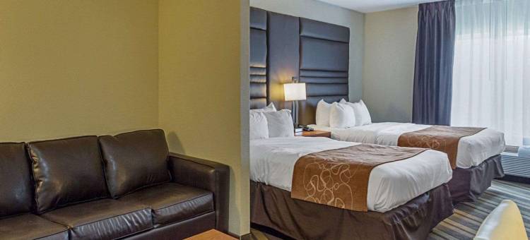 舒适套房酒店 - 近丹吉尔奥特莱斯(Comfort Suites Near Tanger Outlet Mall)图片