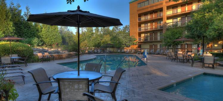 凯艺酒店-近鸽子谷岛(Quality Inn Near the Island Pigeon Forge)图片