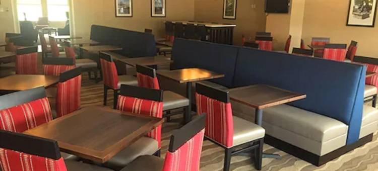 舒适酒店(Comfort Inn)图片