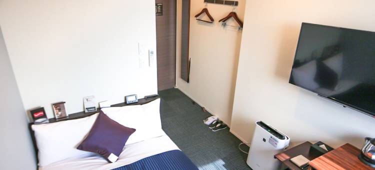 利夫马克斯酒店-东京绫濑站前店(HOTEL LiVEMAX Tokyo Ayase-Ekimae)图片