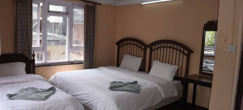 蜂巢青年旅舍(Beehive Hostel Kathmandu)图片