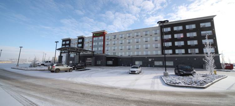 埃德蒙顿机场温德姆花园酒店(Wyndham Garden Edmonton Airport)图片