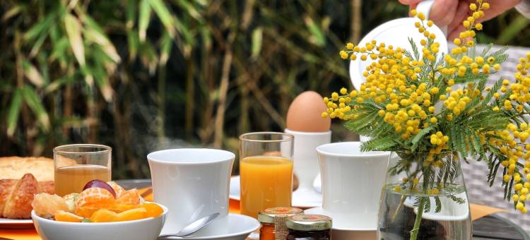 莱班别墅酒店(Villa les Bains)图片