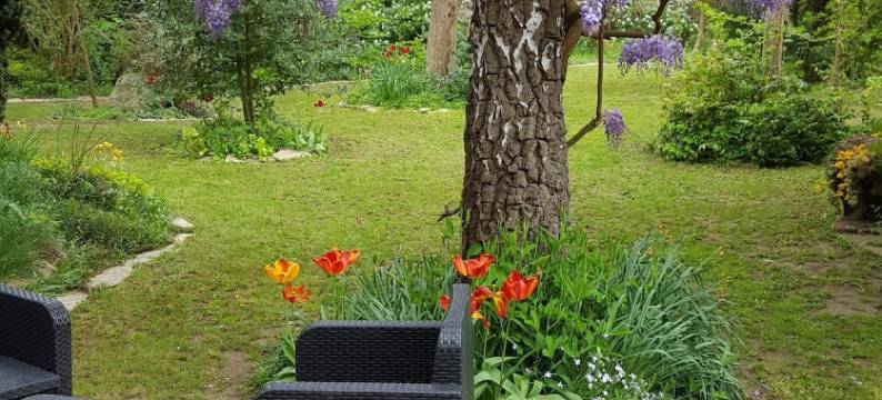 花园旅馆(Chambres du Jardin Fleuri)图片