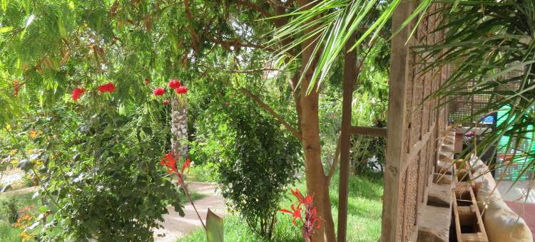 宜必思特莱姆森酒店(Ibis Tlemcen)图片