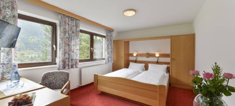 索内布里克酒店(Hotel Sonnblick)图片