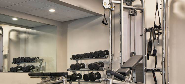 阿伦敦利哈伊谷福朋喜来登喜來登酒店(Four Points by Sheraton Allentown Lehigh Valley)图片