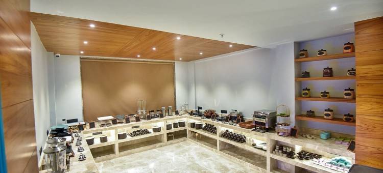 国王的手工艺品特雷梅佐旅馆索姆纳斯(Kings Kraft Tremezzo Inn, Somnath)图片