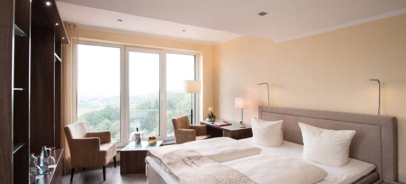 斯坦奈内斯施维辰设计会议酒店及餐厅(Design-Konferenzhotel & Restaurant Steinernes Schweinchen)图片