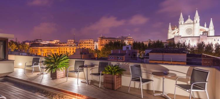 特雷斯佩蒂特宫酒店(Petit Palace Hotel Tres)图片