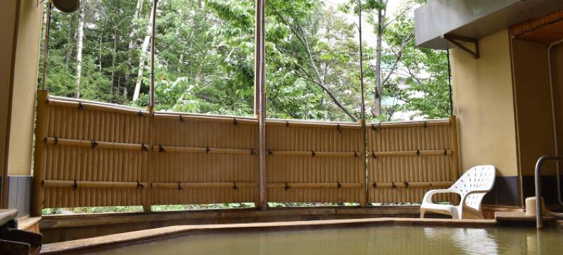 美瑛白金温泉 公园山酒店(Biei Shirogane Onsen Hotel Park Hills)图片