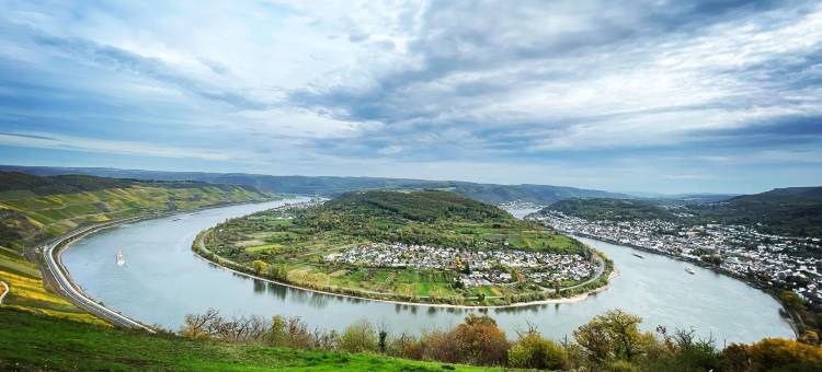 莱茵鲁斯特酒店(Hotel Rheinlust)图片