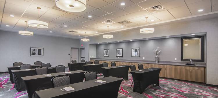 达拉斯/理查森欢朋酒店及套房(Hampton Inn & Suites Dallas/Richardson)图片