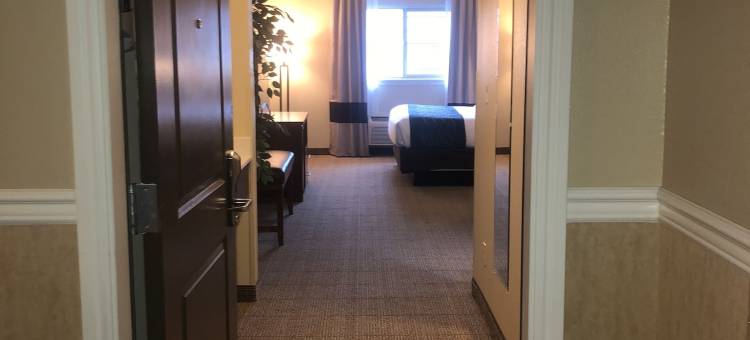 尤凯亚舒适套房酒店(Comfort Inn & Suites Ukiah Mendocino County)图片