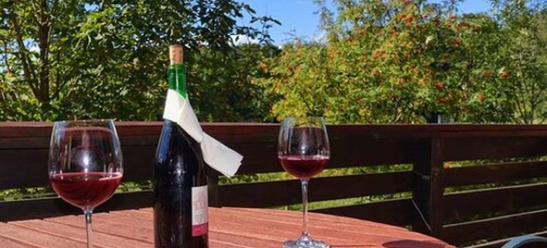 奥斯提布里克兰德豪斯酒店(Landhaus Ostseeblick)图片