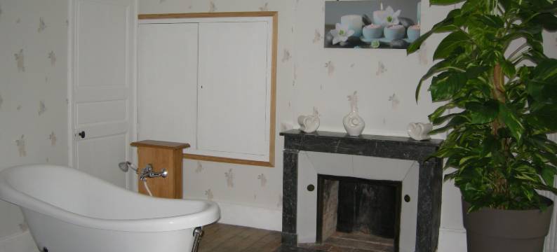 沙瓦内城堡酒店(Chateau de Chavannes)图片