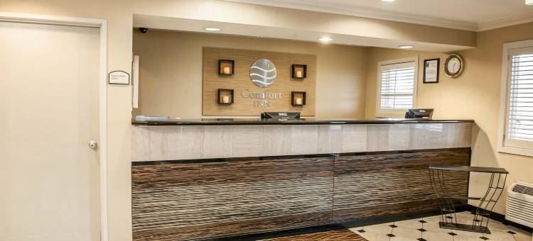 印第安纳波利斯南I-65舒适酒店(Comfort Inn Indianapolis South I-65)图片