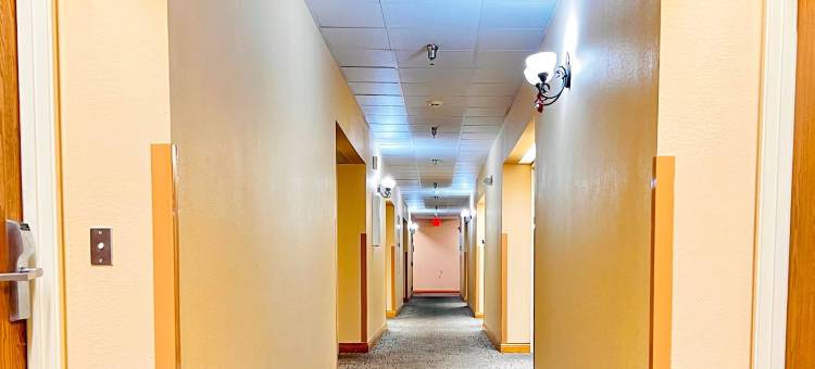 最佳客栈和套房(The Best Inn & Suites)图片