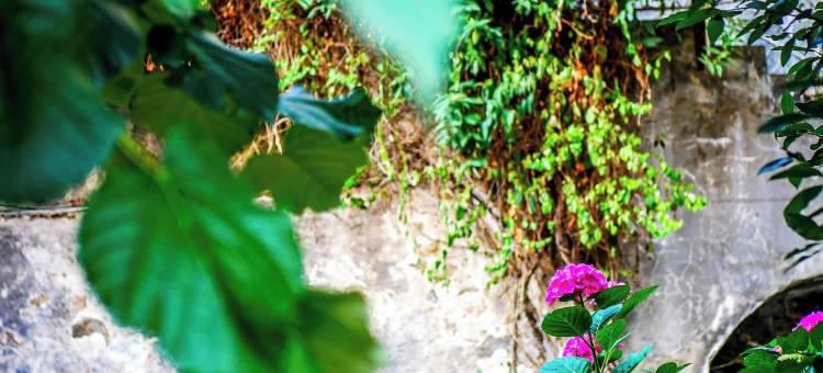 民宿 - 住宿与烹饪(Maison d'hôtes - Stay and Cook)图片