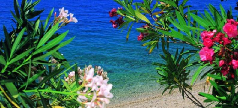 玛丽加别墅酒店(Hotel Villa Marija)图片