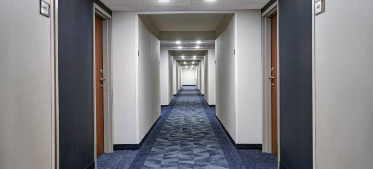 芝加哥埃尔姆赫斯特/奥克布鲁克地区万怡酒店(Courtyard Chicago Elmhurst/Oakbrook Area)图片