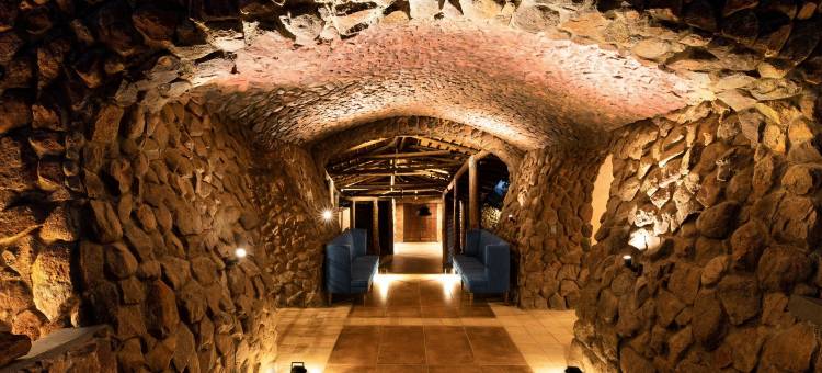 Qwabi私人游戏保护区的Babohi(Babohi at Qwabi Private Game Reserve by Newmark)图片