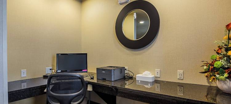 鹅卵石阿塔蒙特套房旅馆(Cobblestone Inn & Suites - Altamont)图片