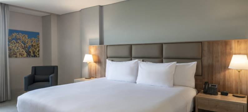 卡利城市花园希尔顿花园酒店(Hilton Garden Inn Cali Ciudad Jardin)图片