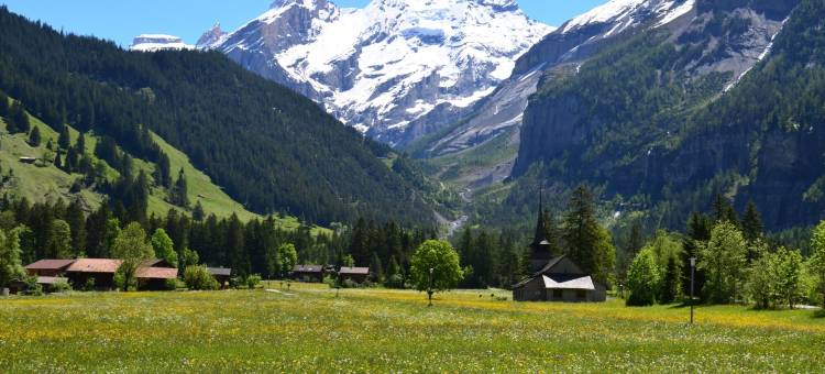 坎德施泰格博尼福餐厅酒店(Bernerhof Swiss Quality Hotel)图片