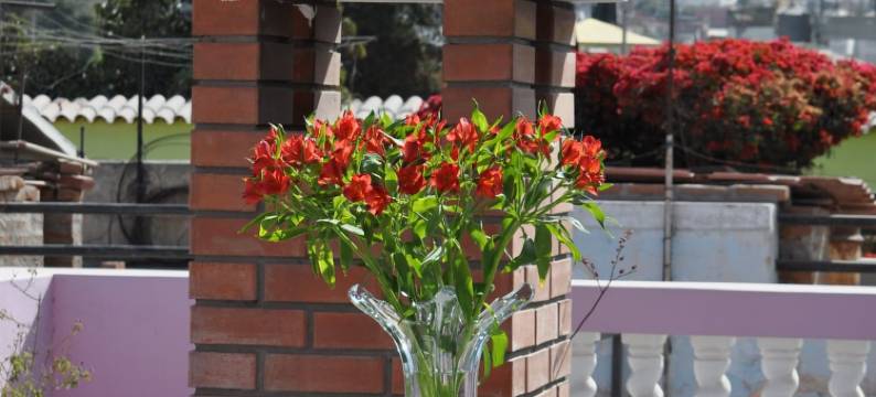 阿雷基帕旅馆(Casa Arequipa)图片