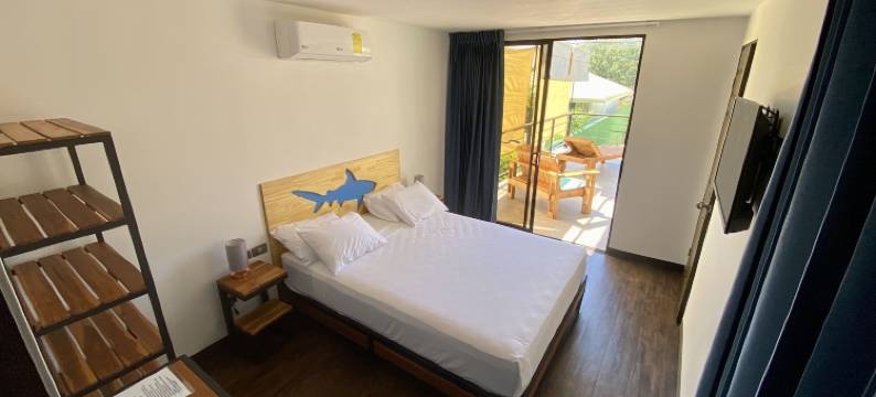 马尔帕伊斯鲨鱼镇(Shark Town Mal Pais)图片