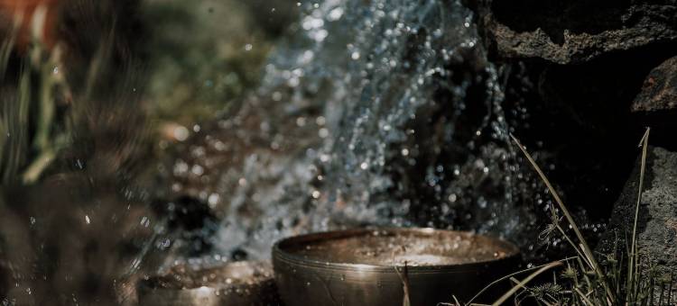 萨尔特拉豪华露营(Salterra Glamping)图片