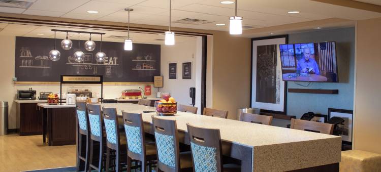 大瀑布城欢朋酒店(Hampton Inn Big Rapids)图片