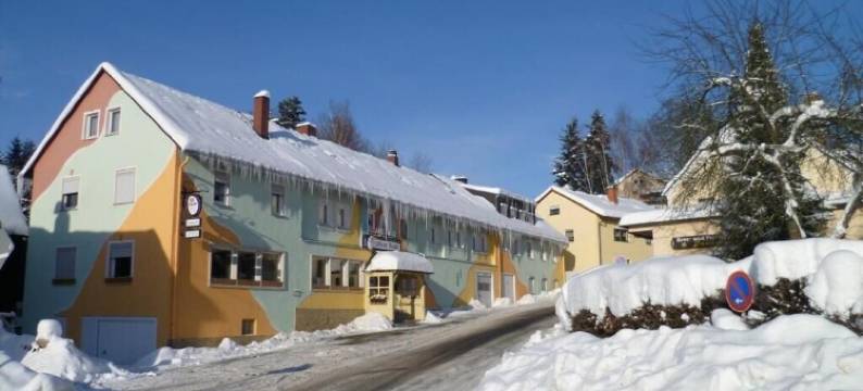 格林豪泰乡村酒店(Landgasthof Grüner Baum)图片