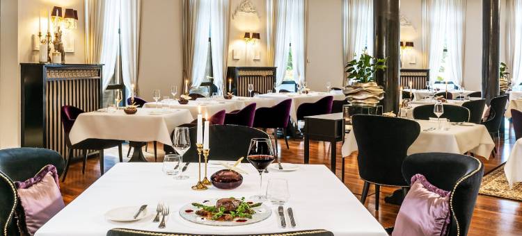 斯加罗斯伯格维克特雷迪斯酒店(Victor's Residenz-Hotel Schloss Berg)图片