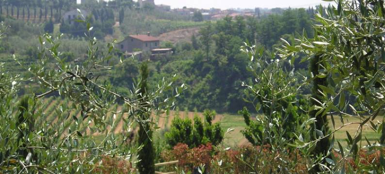 列奥纳多酒店(Leonardo)图片