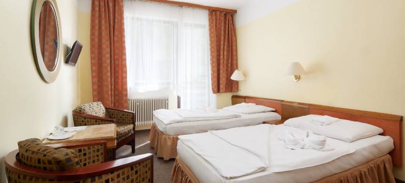 梅德洛夫信赖酒店(Hotel Medlov Depandance)图片