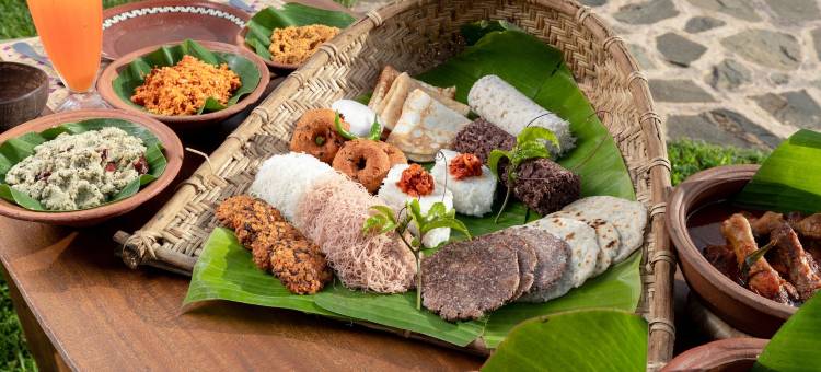 野性野营加勒Oya(Wild Glamping Gal Oya - Thema Collection)图片