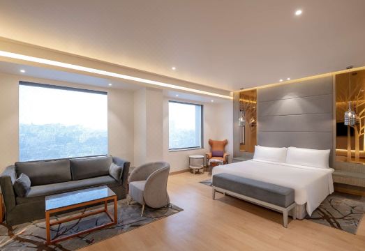 Radisson Blu Towers Kaushambi Delhi NCRHotel Overview