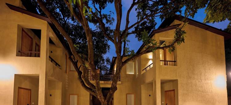 ABN Sarovar Portico 吉姆科贝特(Abn Sarovar Portico Jim  Corbett Dhikuli)图片