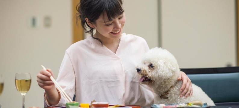 WAN WAN 宠物度假天堂 松阪(Wan Wan Paradise Matsusaka)图片