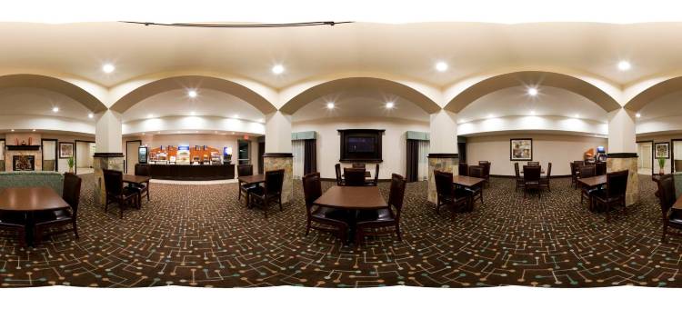 智选假日套房酒店雪松山(Holiday Inn Express & Suites Dallas Southwest-Cedar Hill)图片