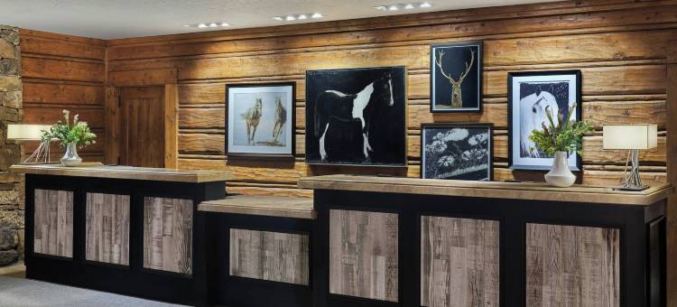 巴切洛尔峡谷丽思卡尔顿酒店(The Ritz-Carlton, Bachelor Gulch)图片