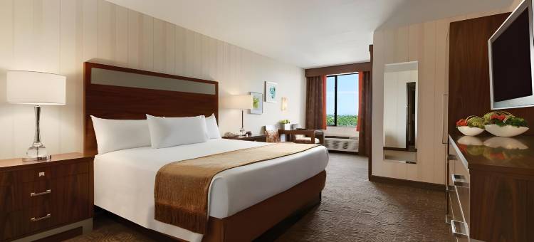 黄金海岸娱乐场酒店(Gold Coast Hotel and Casino)图片